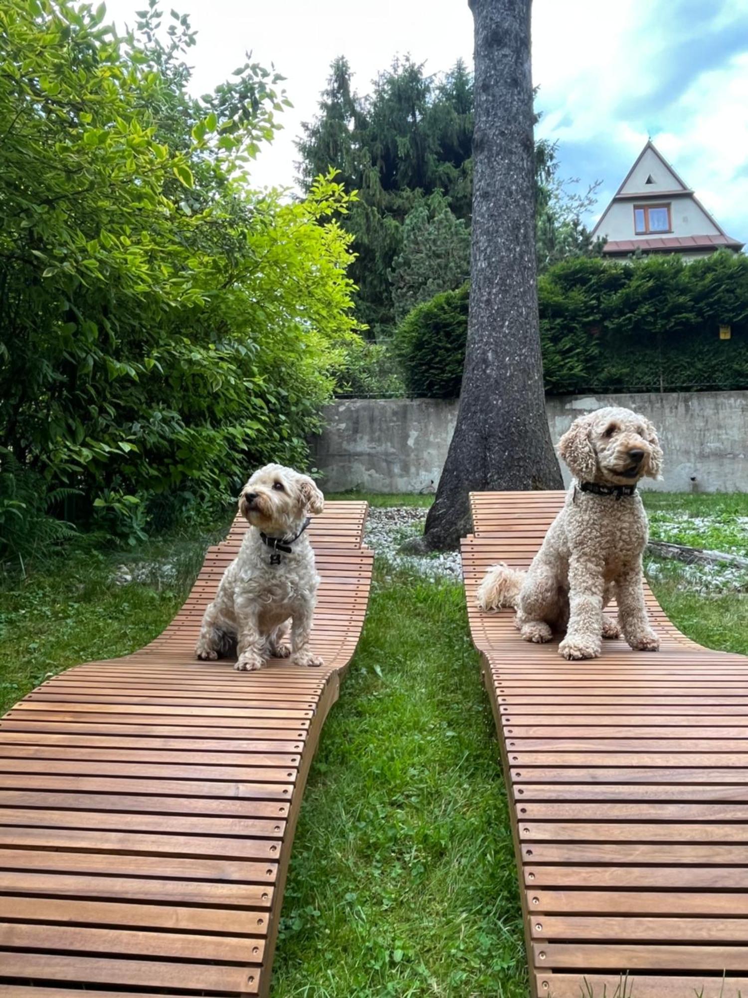 Willa Apart Zakopane Dış mekan fotoğraf